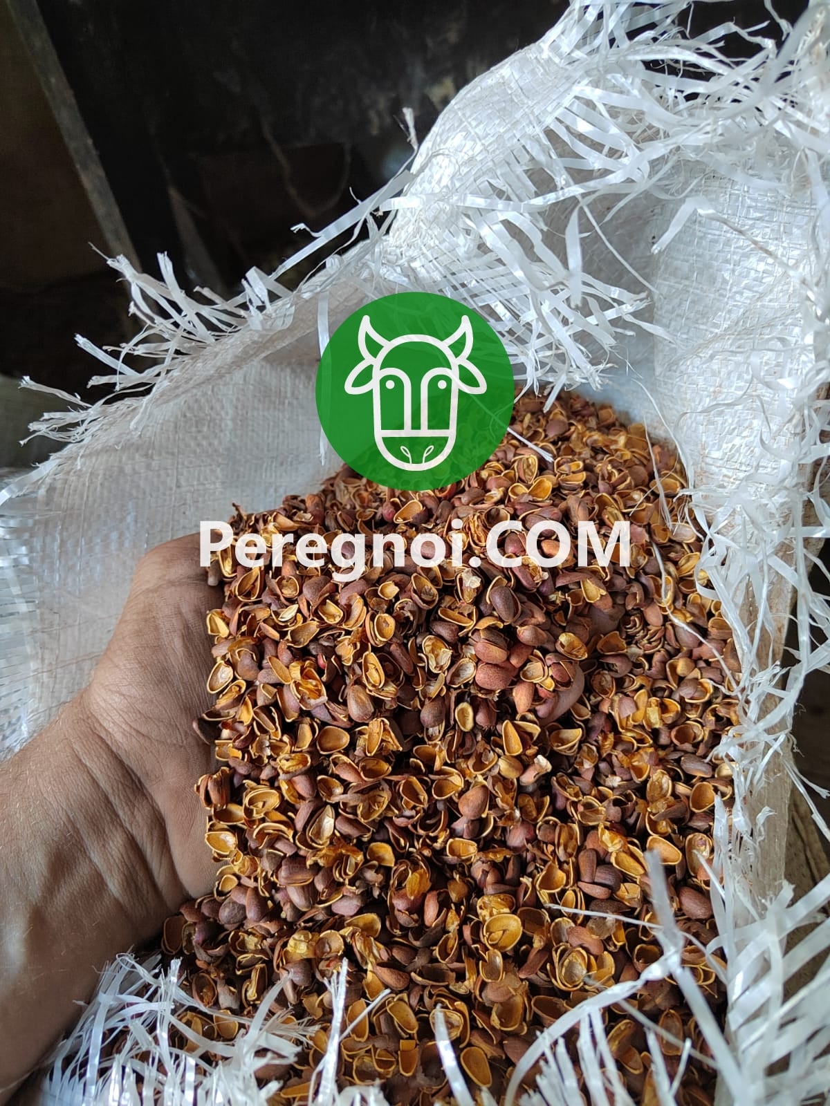 Кедровый орех Таштагол - экологический продукт