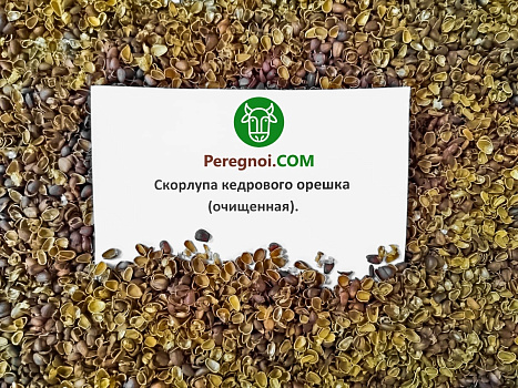 Скорлупа кедрового ореха