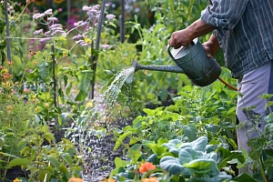 Секреты осенней  перекопки почвы