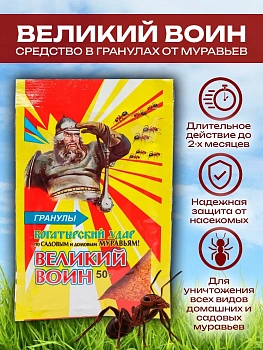 Великий воин