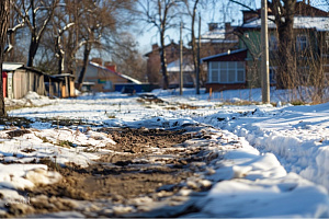 Огородные заботы в марте